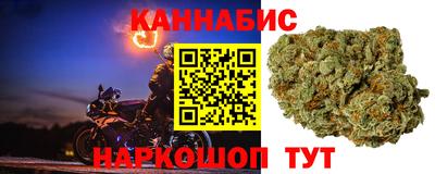гидропоника Пенза