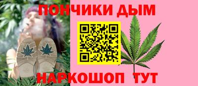 гидропоника Пенза
