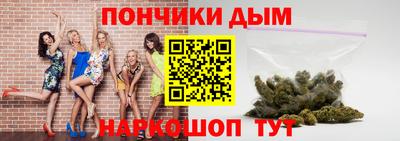 гидропоника Пенза