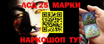 гидропоника Пенза