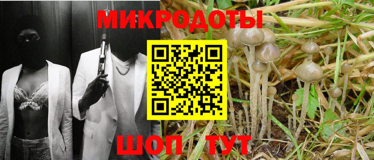 Сургут  Галлюциногенные грибы прущие грибы  Вход с VPN 