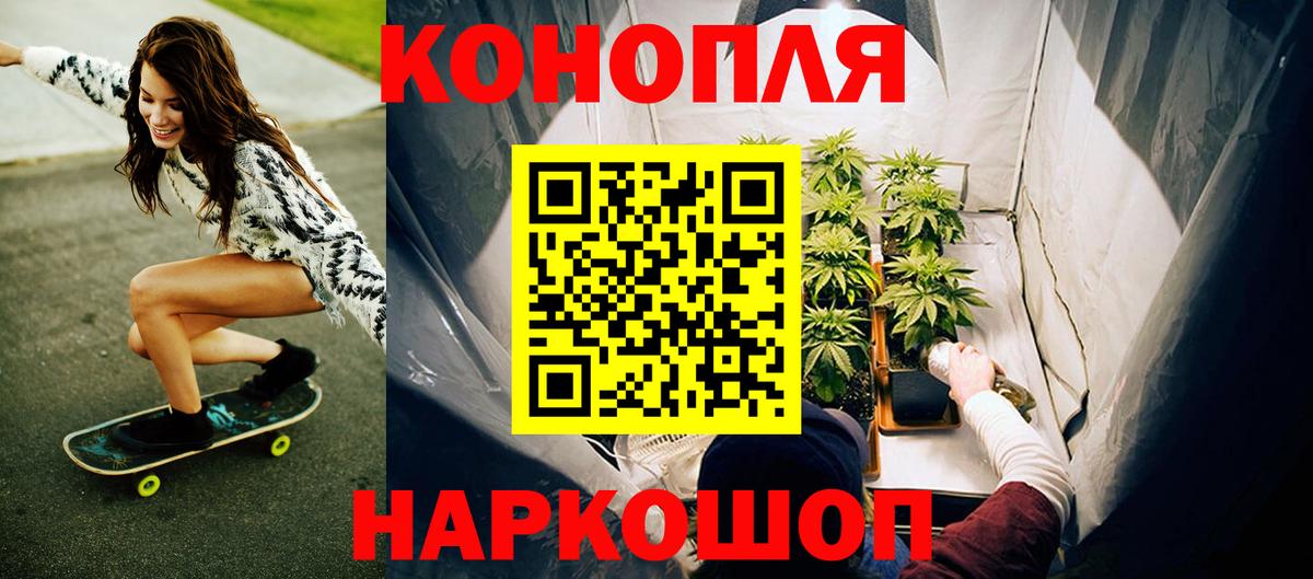 Бошки марихуана сатива Сургут